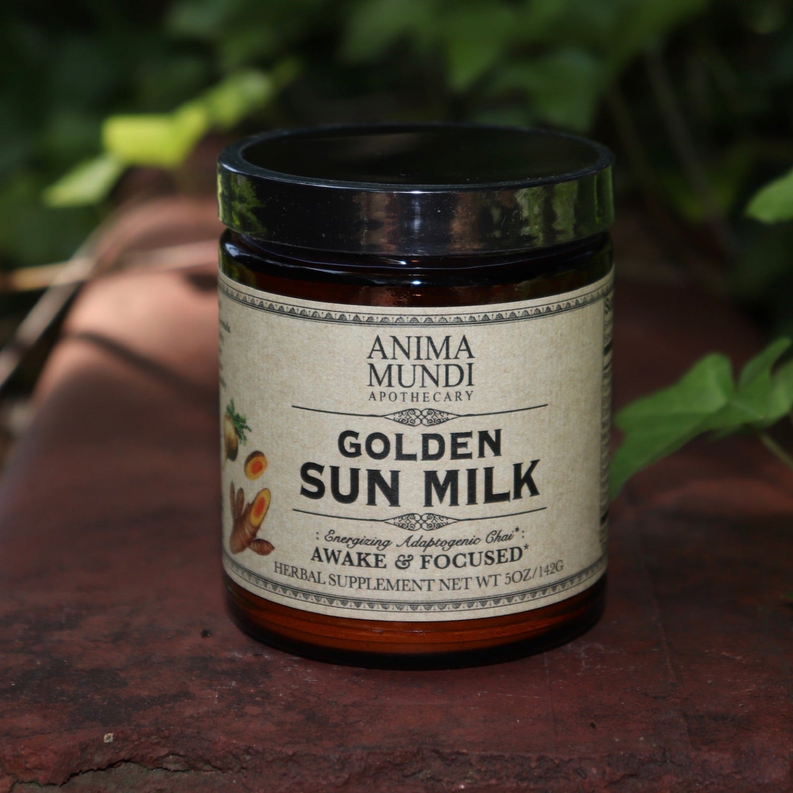 The Golden Sun Milk - 5oz Energizing Adaptogenic Chai Powder on a red surface next to ivy.