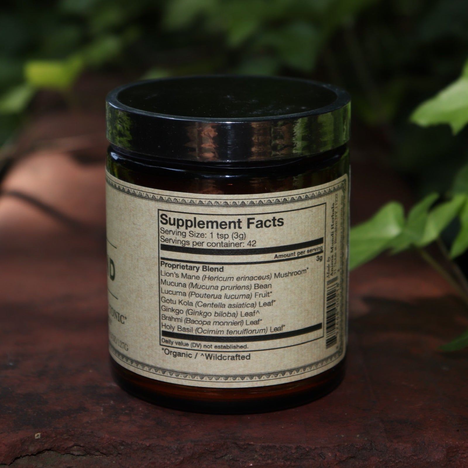 The back of The Mind - Cognition + Focus 4.5 oz Powder on a rusty red surface surrounded by green ivy.