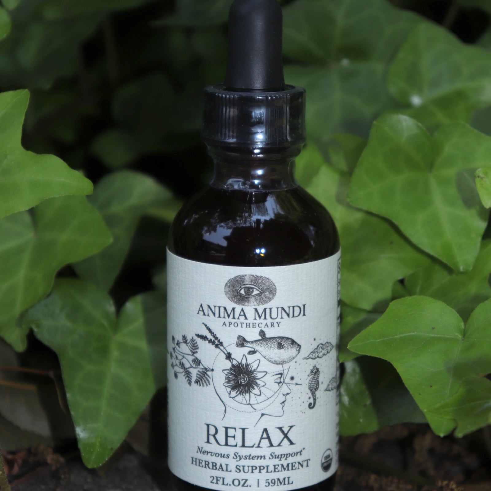The Relax - Nervous System Support Tonic on a concrete surface in front of a patch of ivy.