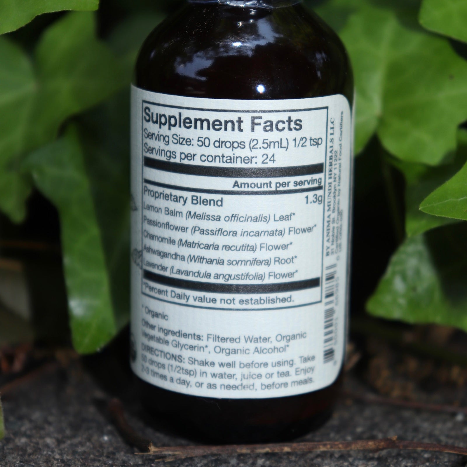 The Relax - Nervous System Support Tonic on a concrete surface in front of a patch of ivy.