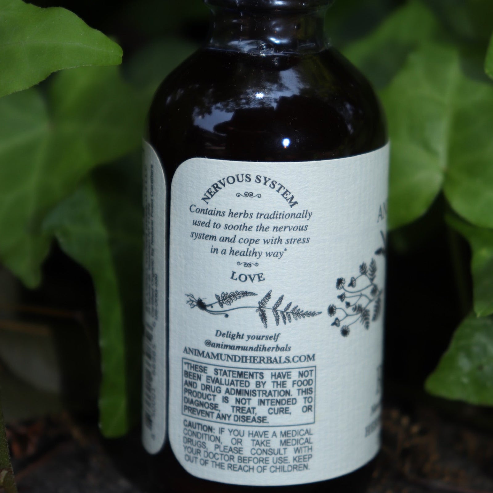The Relax - Nervous System Support Tonic on a concrete surface in front of a patch of ivy.