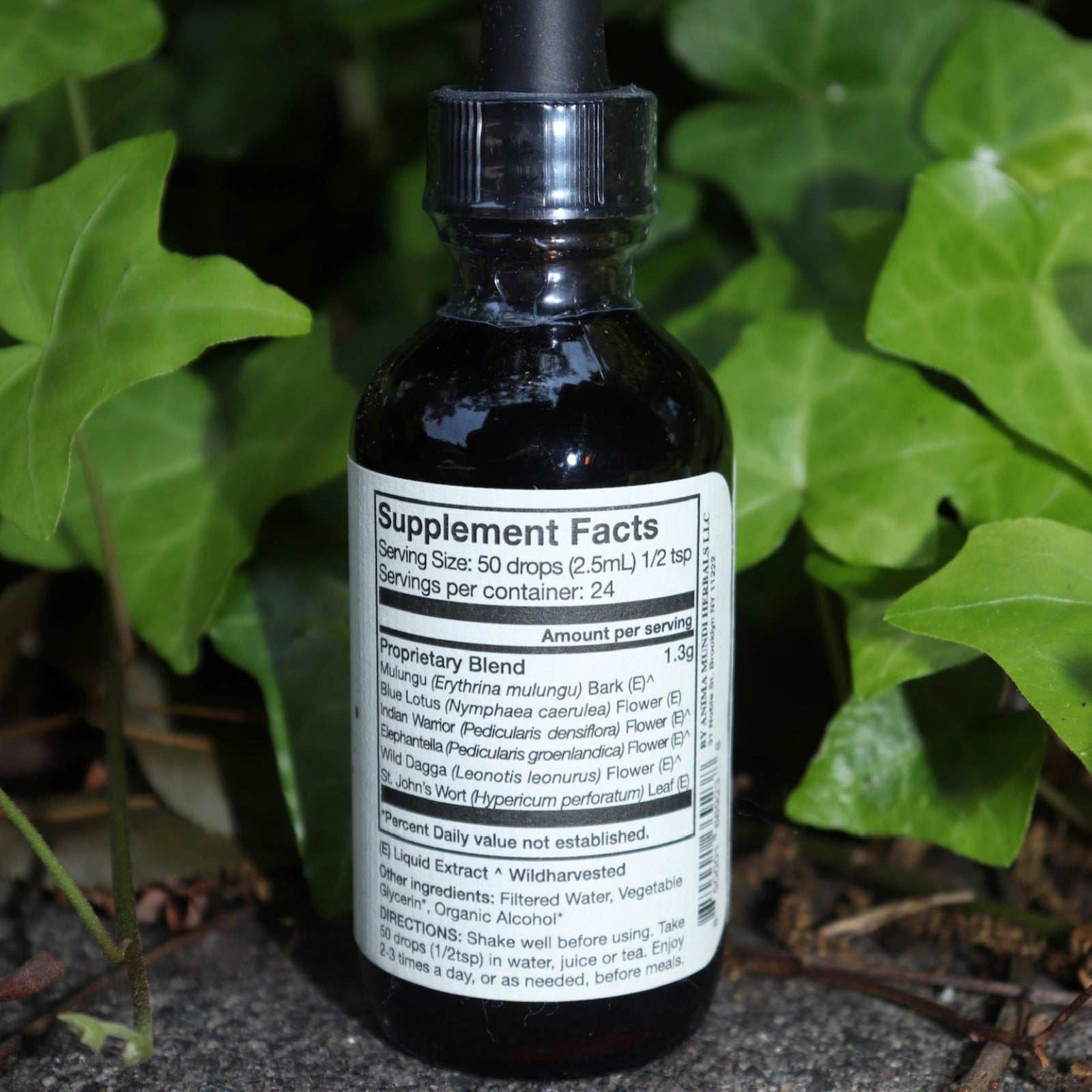 The back of the Dolores - Muscular Comfort + Nerve Support Tonic on a concrete surface in front of an ivy patch.