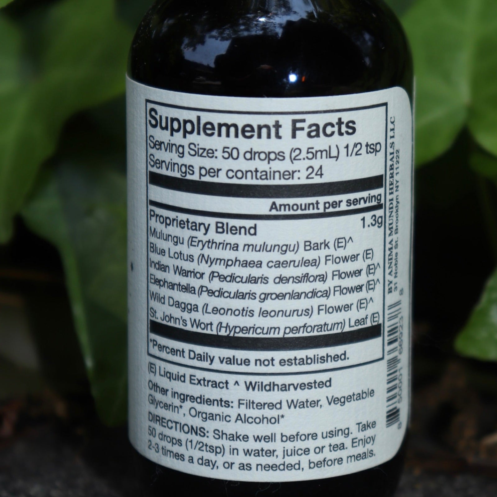 The back of the Dolores - Muscular Comfort + Nerve Support Tonic on a concrete surface in front of an ivy patch.
