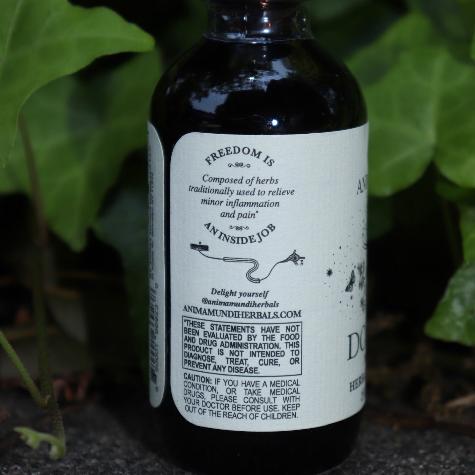 The side of the Dolores - Muscular Comfort + Nerve Support Tonic on a concrete surface in front of an ivy patch.