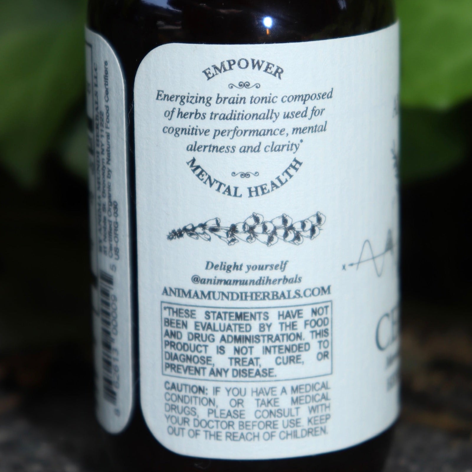 The side of the Cerebrum - Nootropic + Cognitive Support Tonic on a concrete surface in front of ivy.