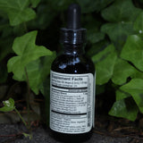 The back of the Belly Love - 2oz Metabolism + Digestive Support Tonic in front of ivy.