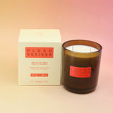 The Plush Vetiver - HI-FI Soy Wax Candle with its packaging to the left of it all on a pink and yellow background.