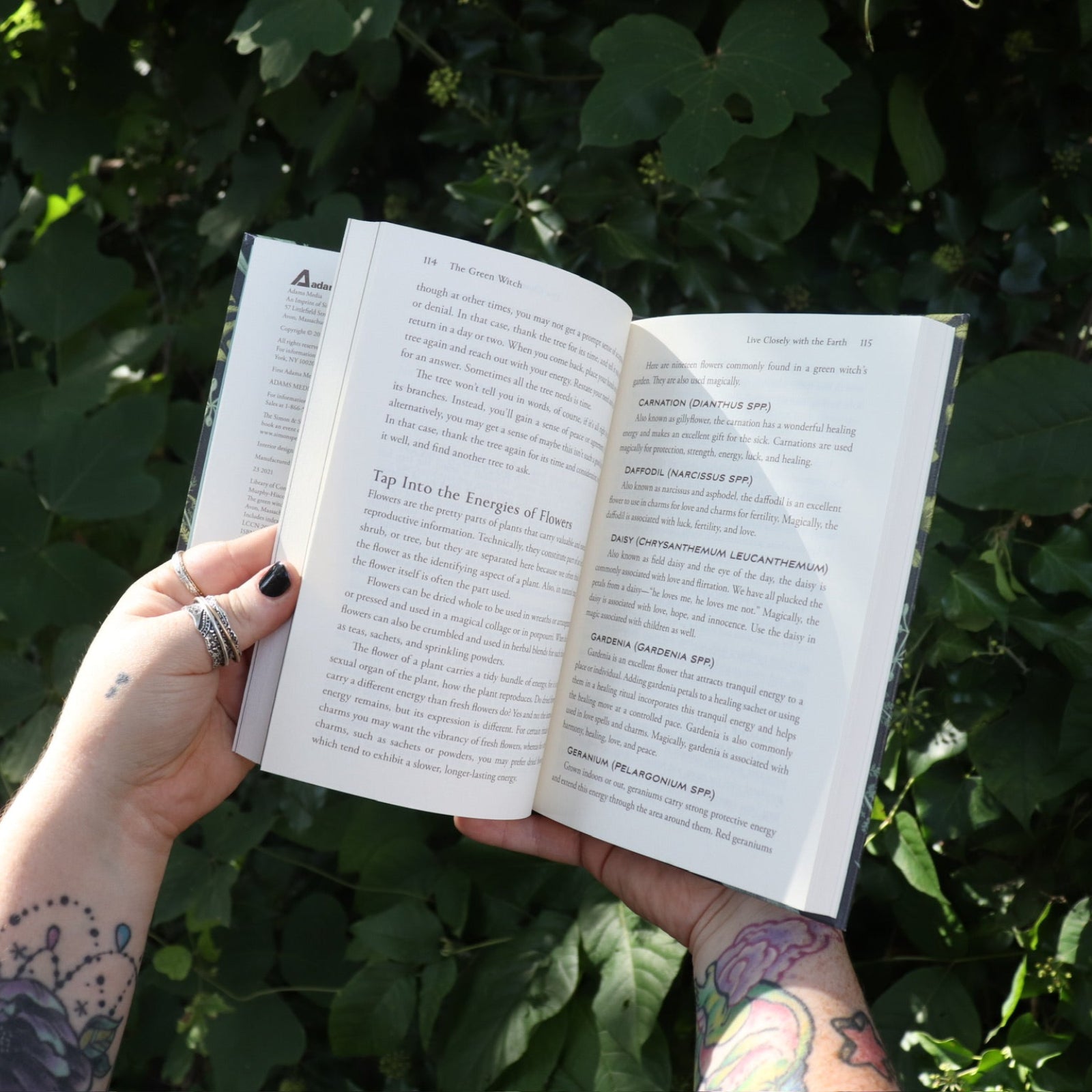 Someone holding one of the books open from the Witchcraft Boxed Set by Arin Murphy-Hiscock in front of greenery.