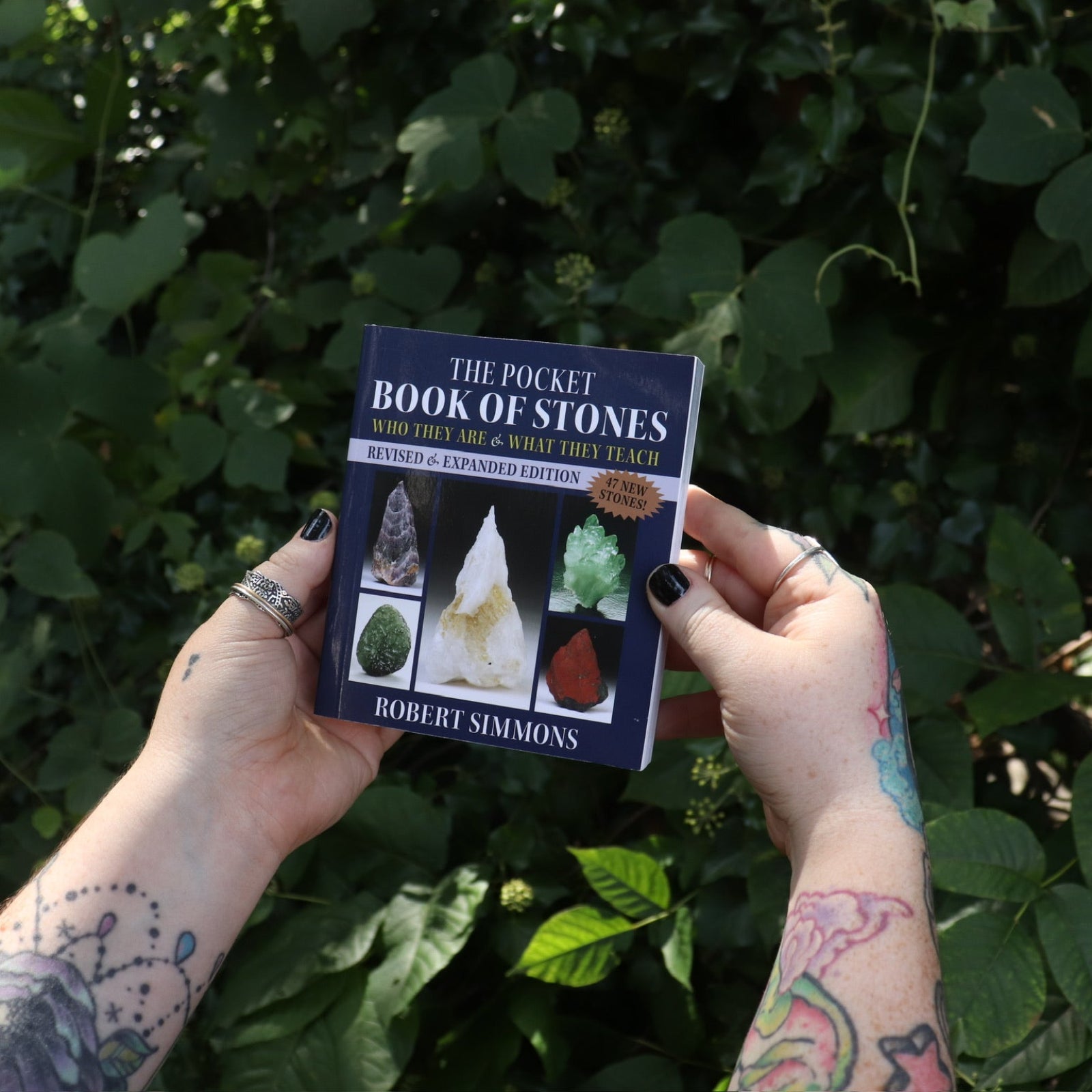 Someone holding the Pocket Book of Stones by Robert Simmons in front of greenery.