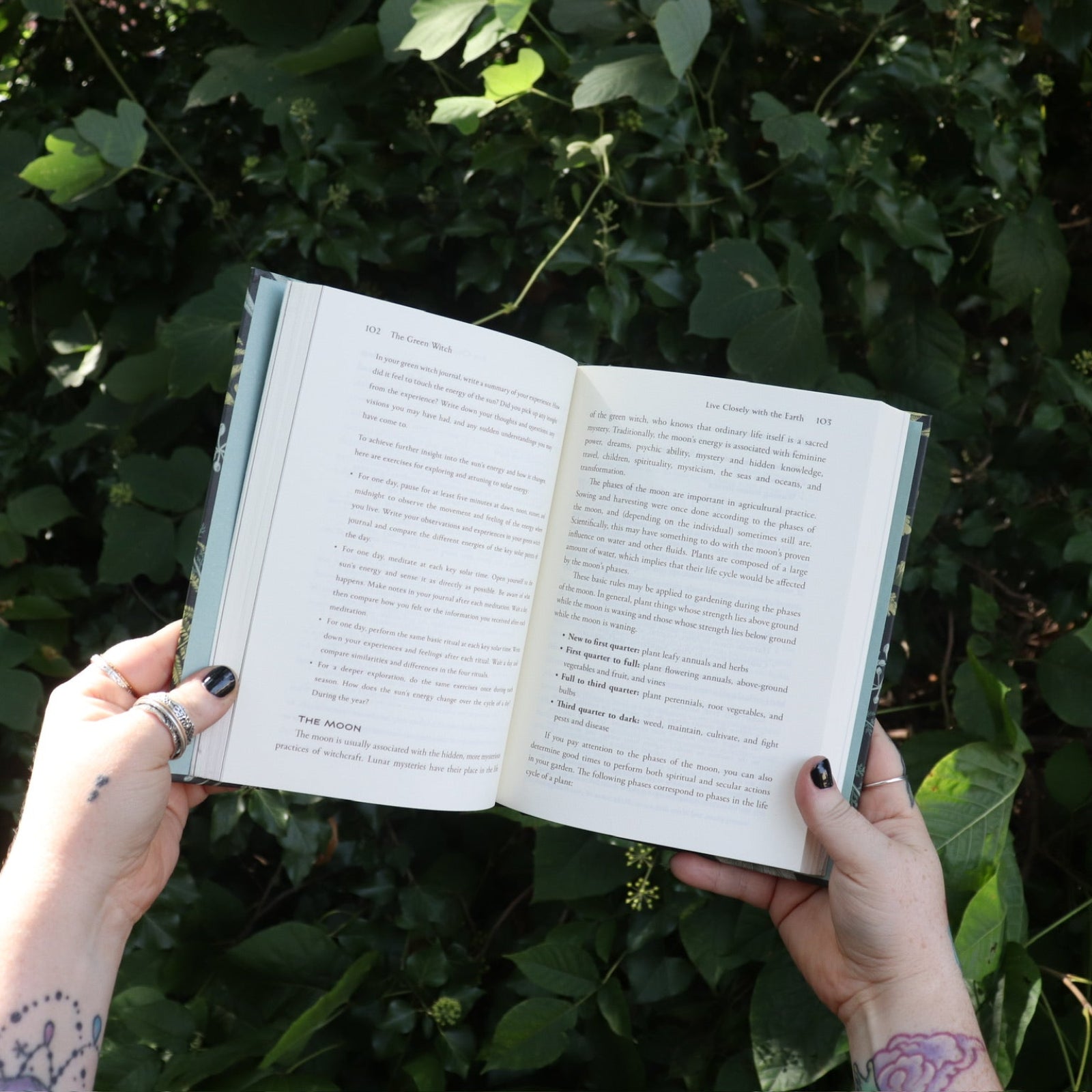 Someone holding the Green Witch by Arin Murphy-Hiscock open in front of greenery, showing off the pages.