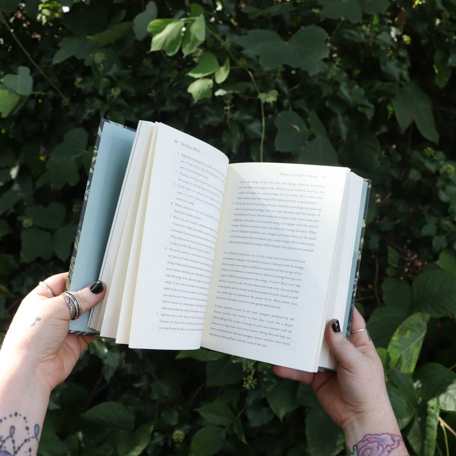 Someone holding the Green Witch by Arin Murphy-Hiscock open in front of greenery, showing off the pages.