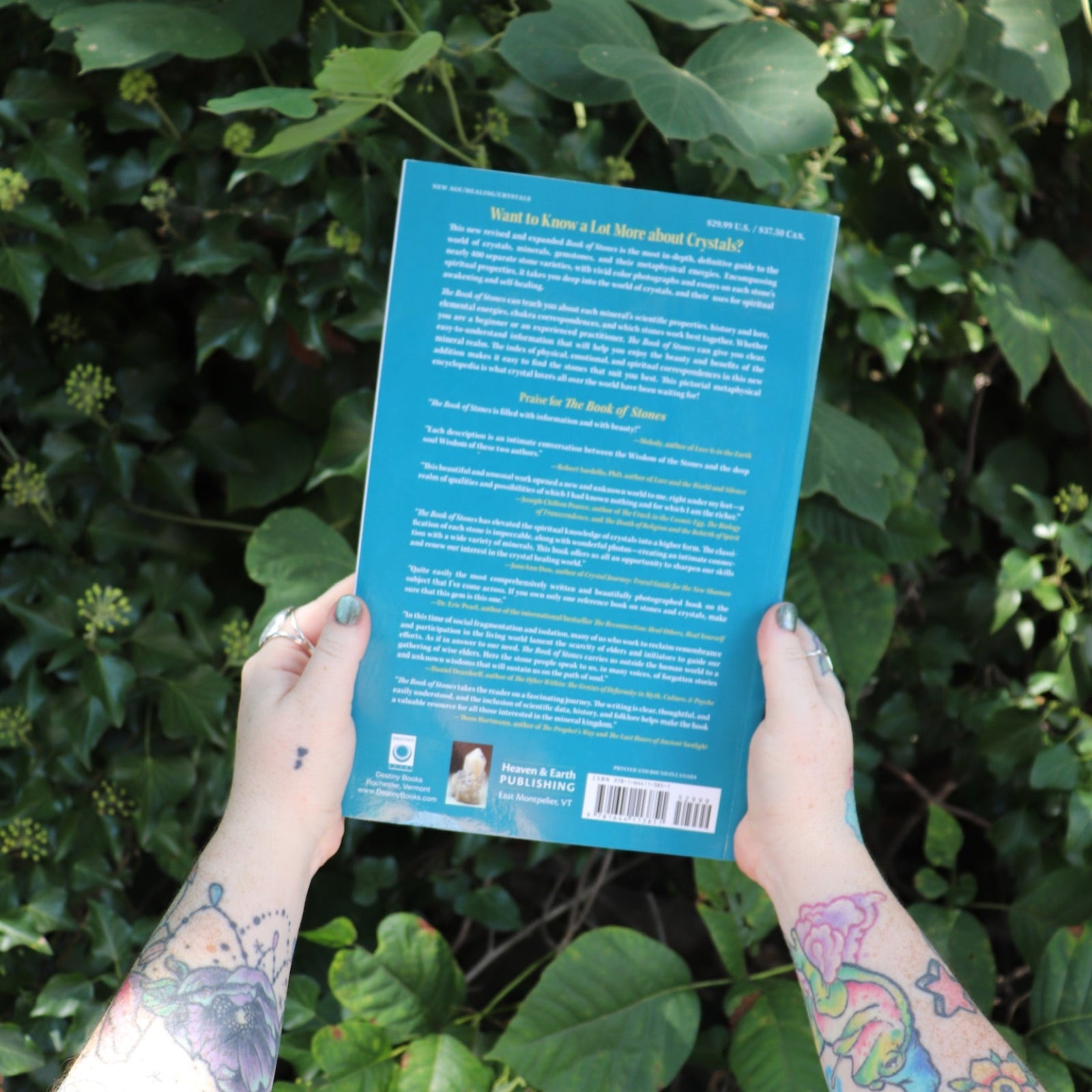 Someone holding the Book of Stones by Robert Simmons in front of greenery, showing off the back.
