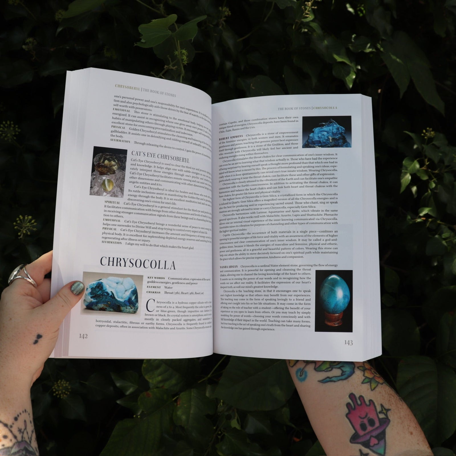 Someone holding the Book of Stones by Robert Simmons open in front of greenery, showing off the pages.