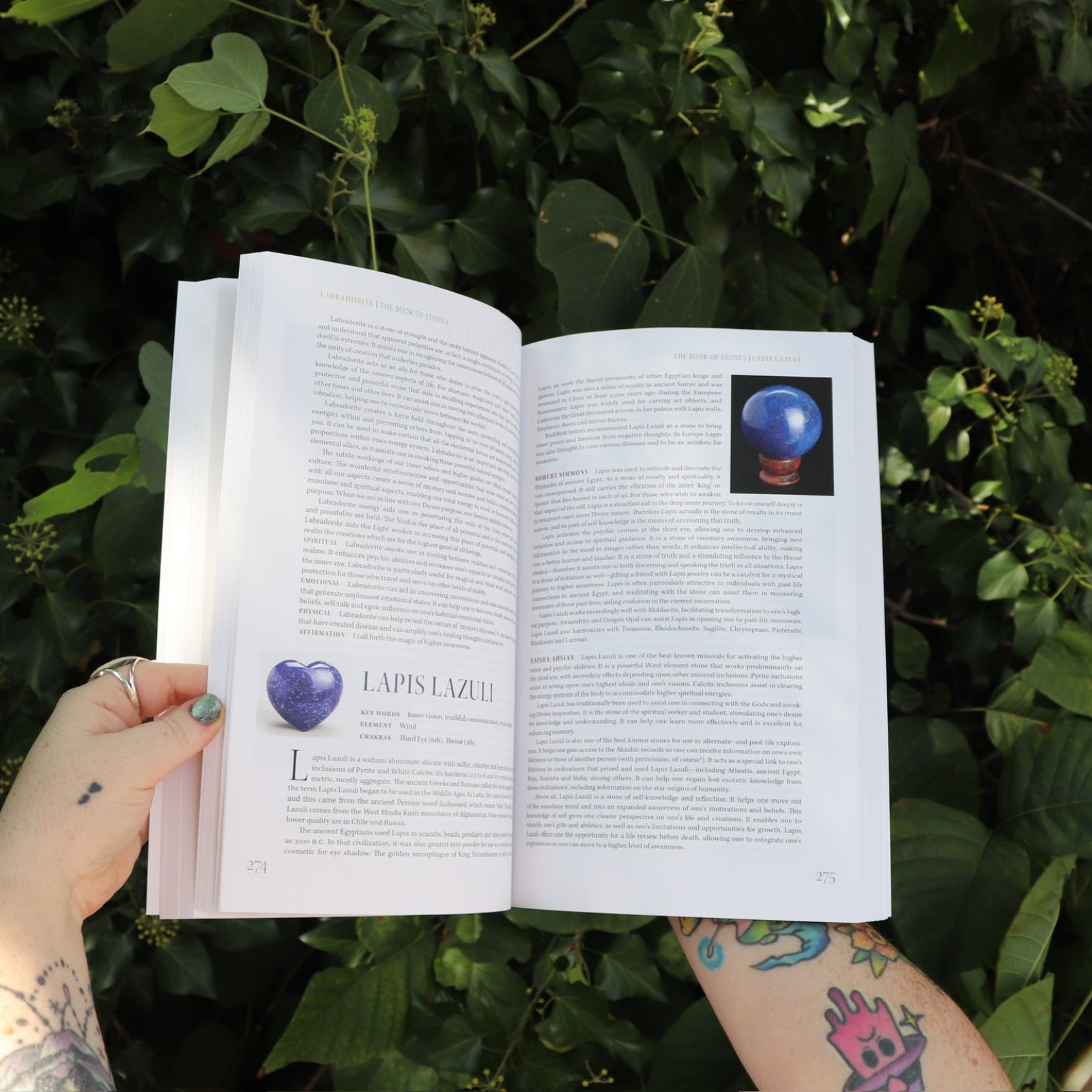 Someone holding the Book of Stones by Robert Simmons open in front of greenery, showing off the pages.