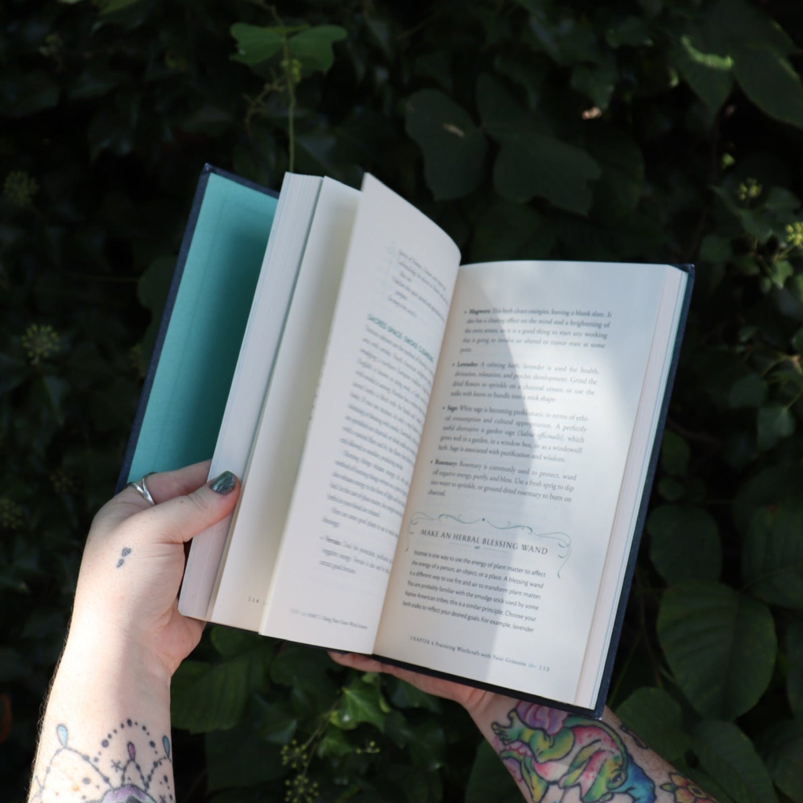 Someone holding the Green Witch's Grimoire by Arin Murphy-Hiscock open in front of greenery, showing off the pages.