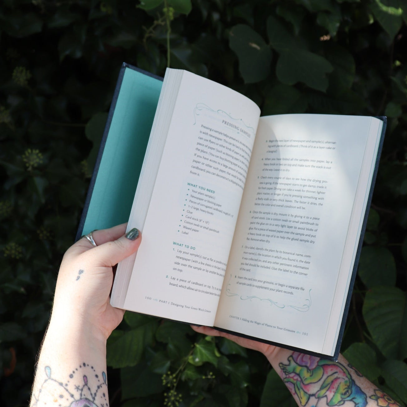 Someone holding the Green Witch's Grimoire by Arin Murphy-Hiscock open in front of greenery, showing off the pages.