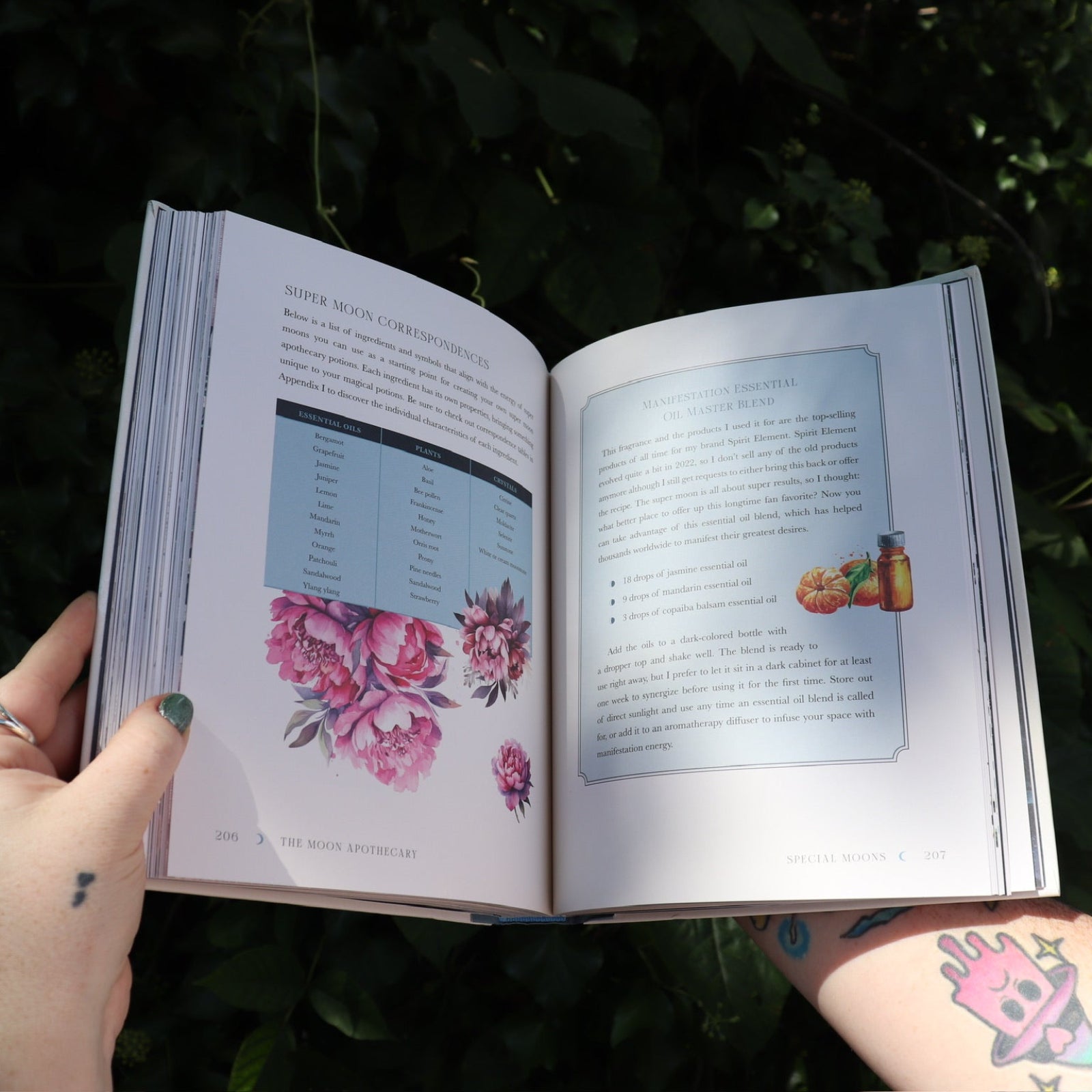 Someone holding the Moon Apothecary by Lorriane Anderson: Hardcover open in front of greenery, showing off the pages.