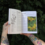 Someone holding the Herbalist's Bible by Julie Bruton-Seal - Paperback Book open in front of greenery, showing off the pages.