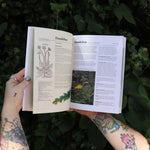 Someone holding the Herbalist's Bible by Julie Bruton-Seal - Paperback Book open in front of greenery, showing off the pages.