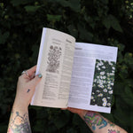 Someone holding the Herbalist's Bible by Julie Bruton-Seal - Paperback Book open in front of greenery, showing off the pages.