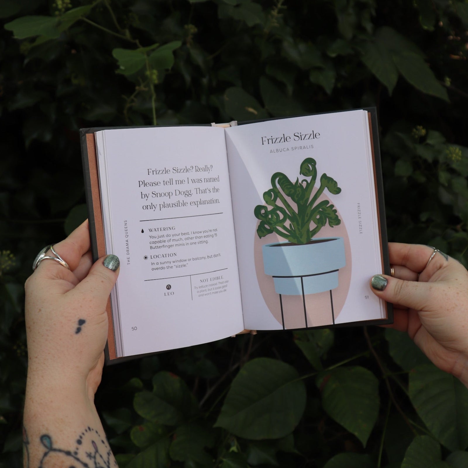 Someone holding the Houseplants and Their F* Up Thoughts by Carlyle Christoff open in front of greenery, showing off the pages.