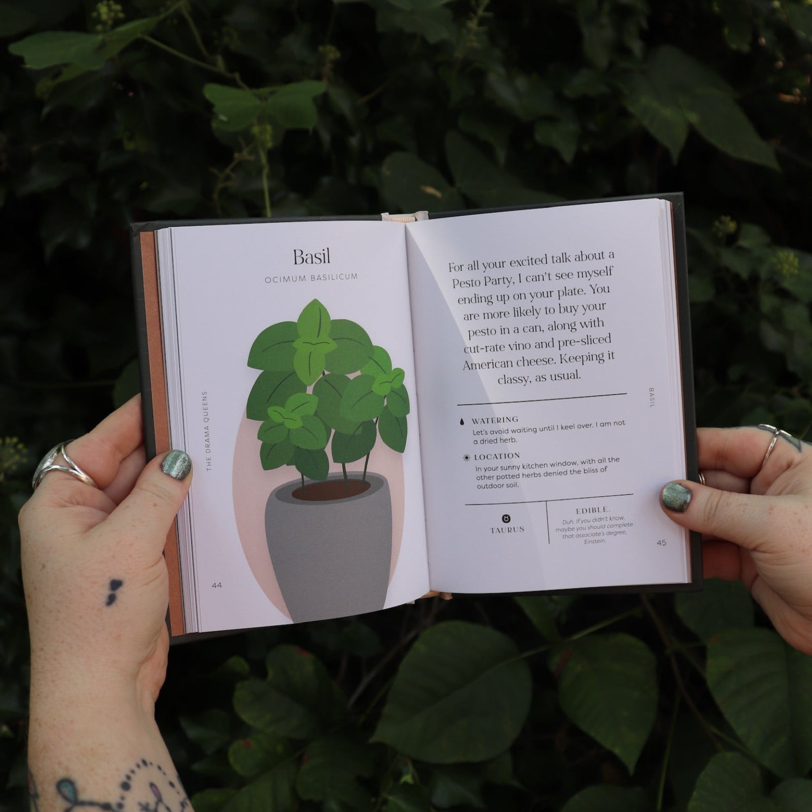 Someone holding the Houseplants and Their F* Up Thoughts by Carlyle Christoff open in front of greenery, showing off the pages.