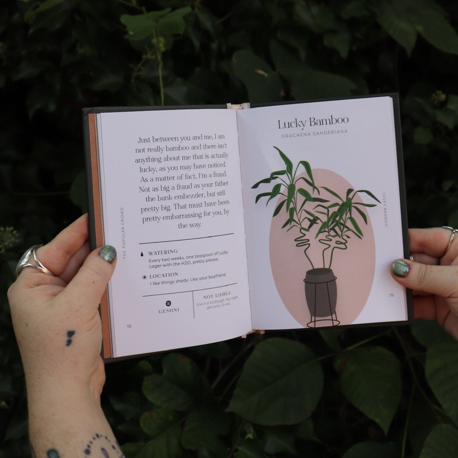 Someone holding the Houseplants and Their F* Up Thoughts by Carlyle Christoff open in front of greenery, showing off the pages.