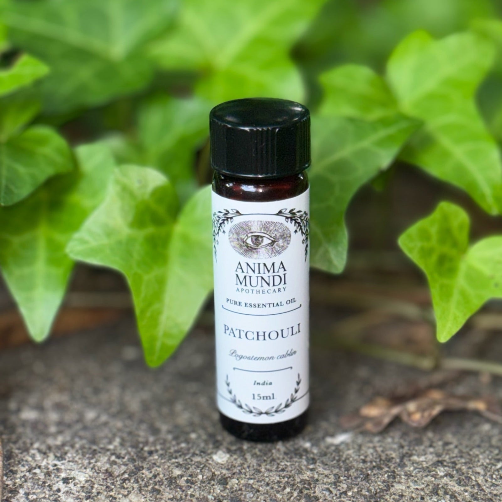 The Patchouli Pure Essential Oil on a graphite surface in front of a patch of ivy.