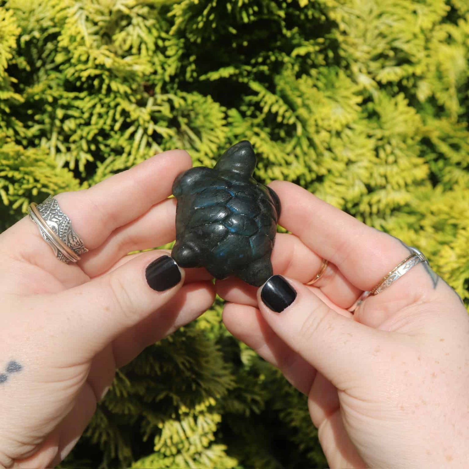 Person holding a small black turtle figurine against a green bush background