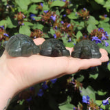Three small stone turtles held in a hand with a blurred floral background