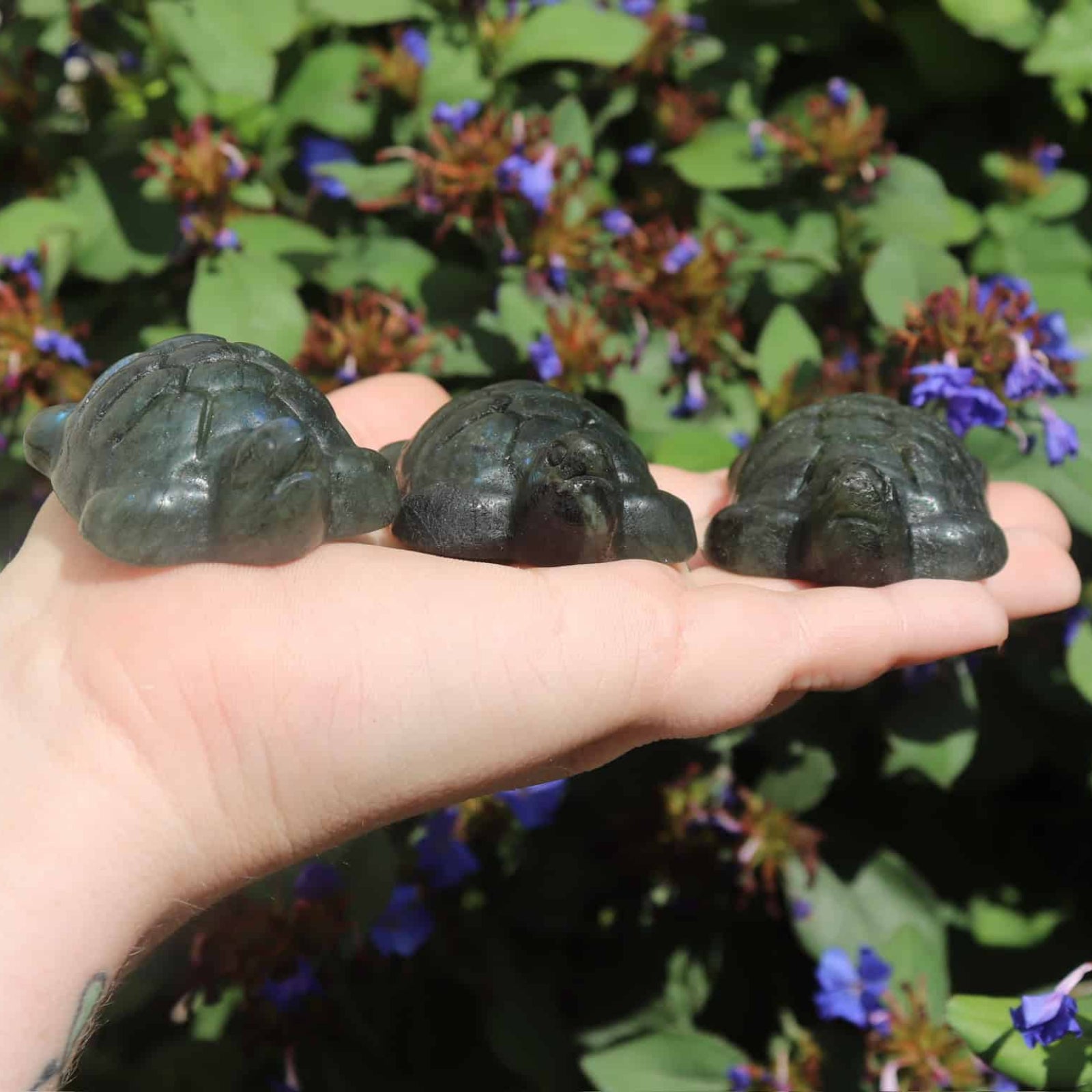 Three small stone turtles held in a hand with a blurred floral background