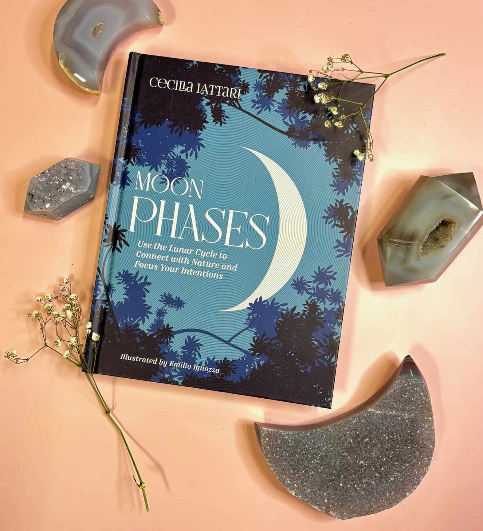 Moon Phases Book