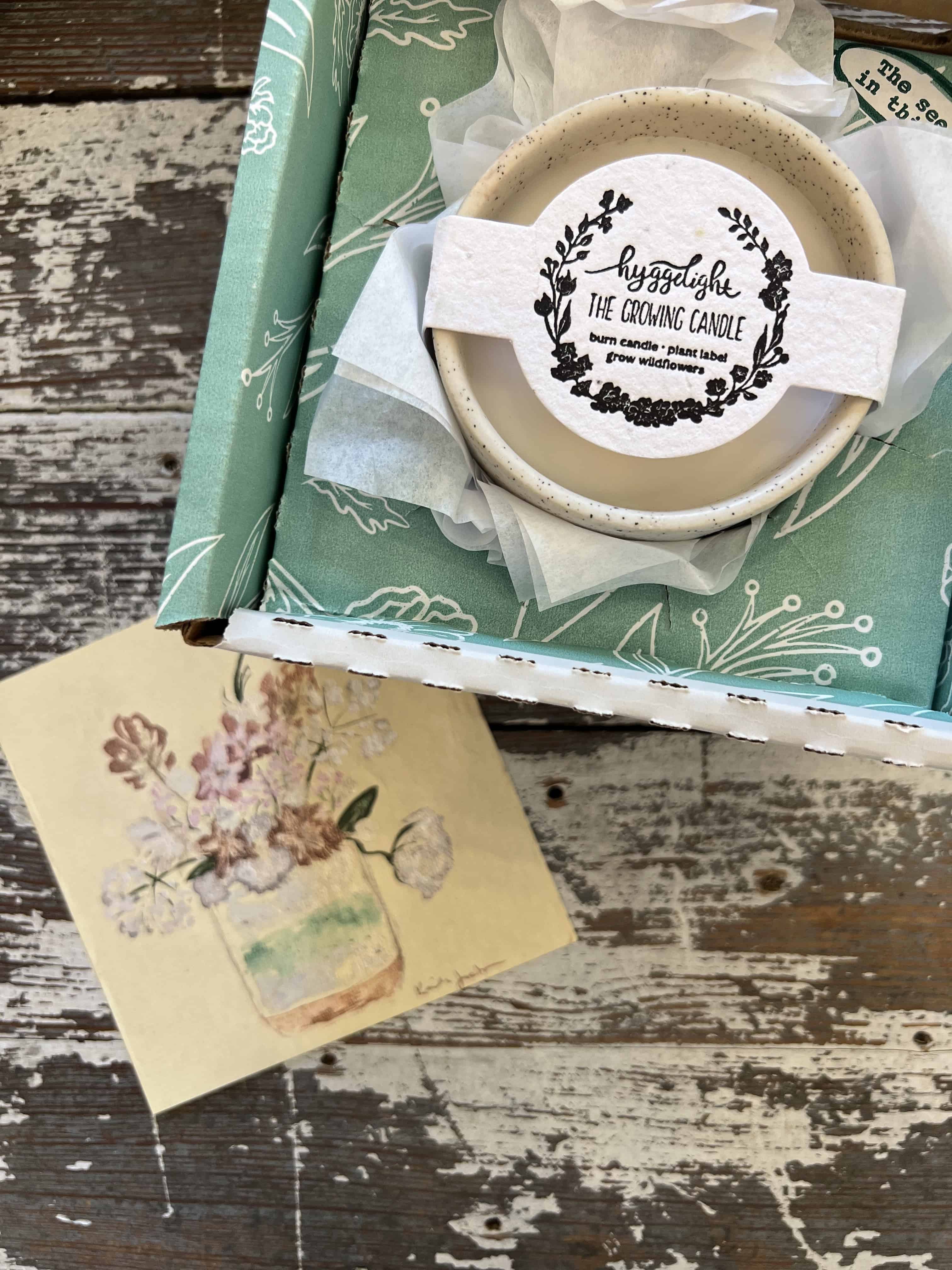 Growing Candle - Ceramic Soy Candle