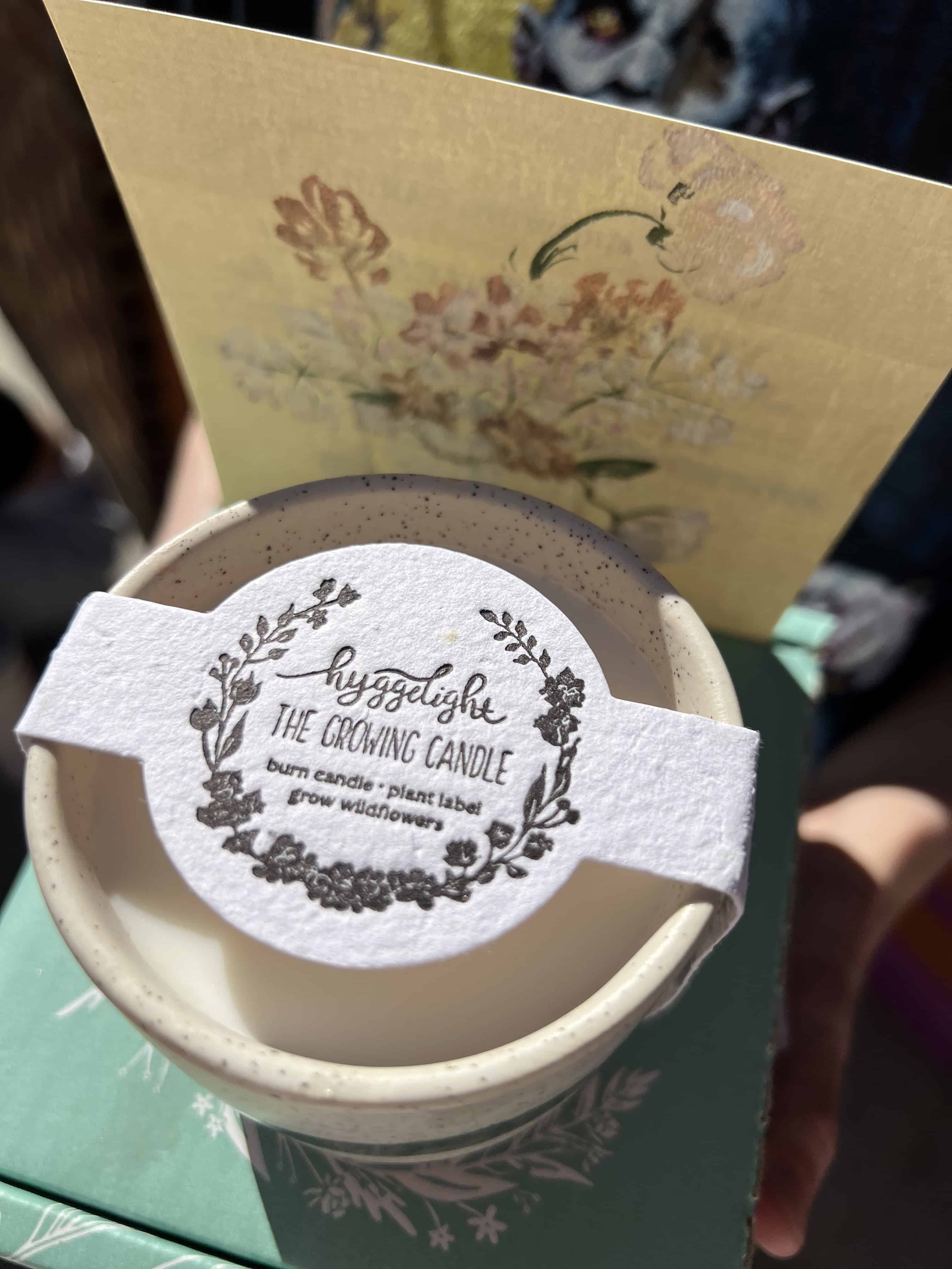 Growing Candle - Ceramic Soy Candle