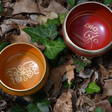 Two metal bowls, one gold and one red, on a bed of leaves and ivy.