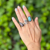 Hand wearing multiple rings with gemstones against a green leafy background