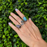 Hand wearing multiple rings with a green leafy background