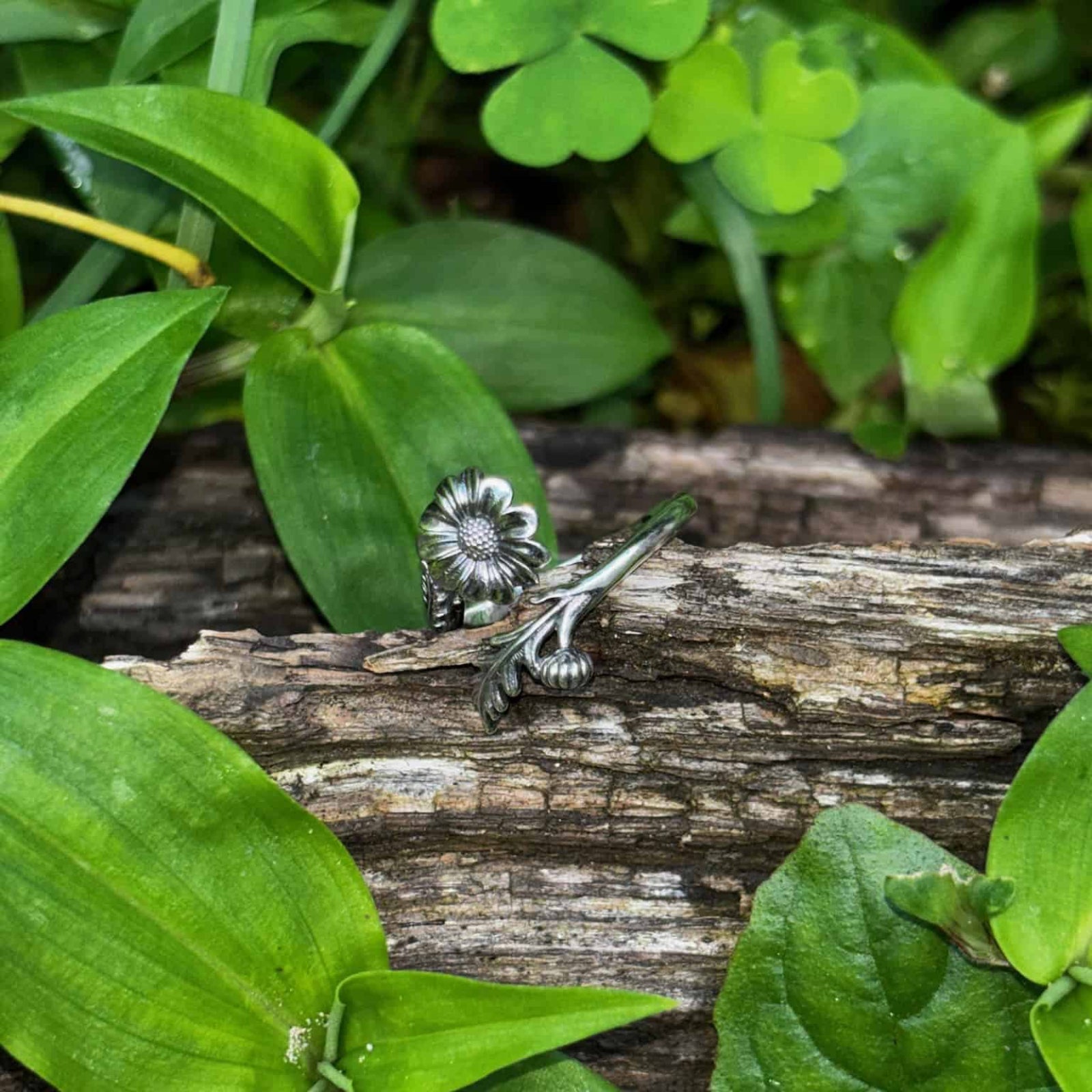 Silver ring with floral design on a wooden log surrounded by green leaves