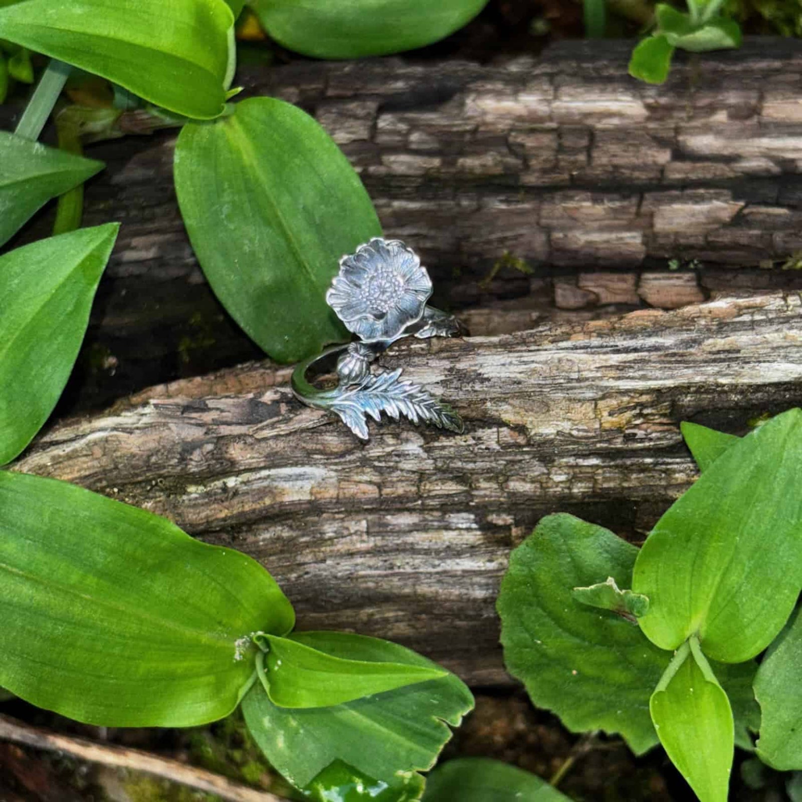 Silver ring with a leaf design on a wooden log surrounded by green leaves