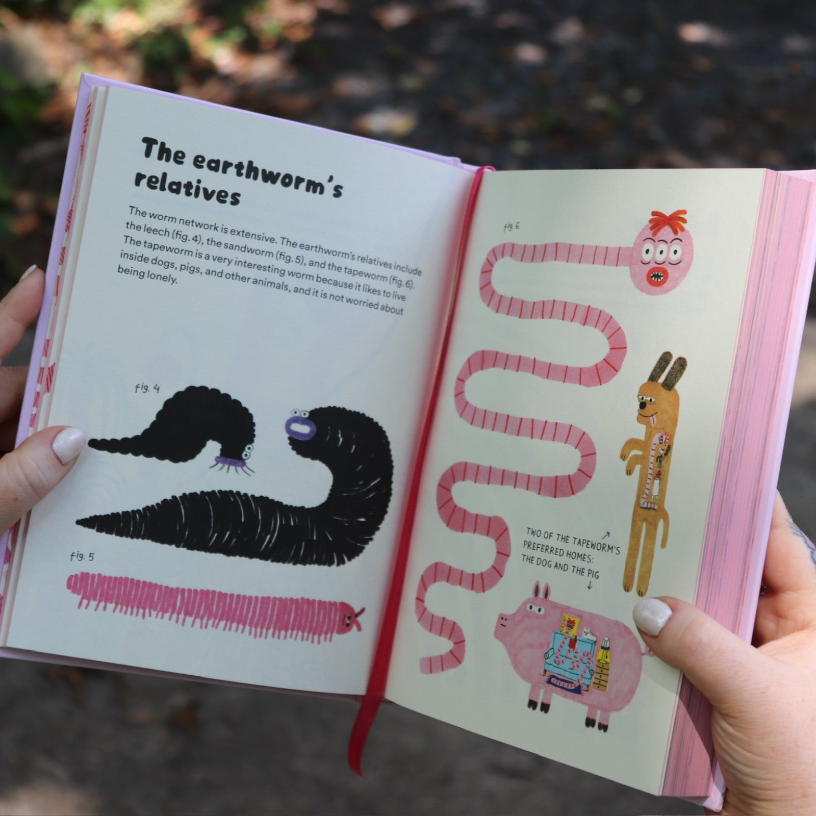 Someone showing one of the pages of the Unfortunate Life of Worms Hardcover Book.