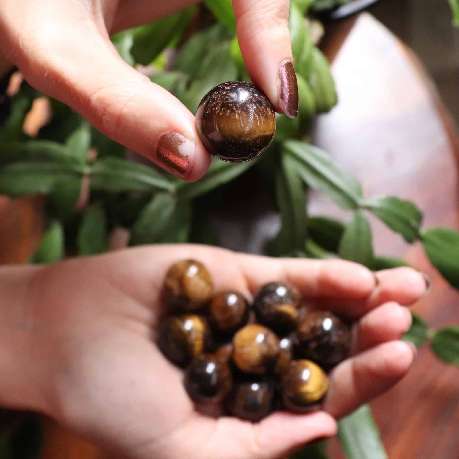 Person holding a collection of tiger eye stones with green leaves in the background
