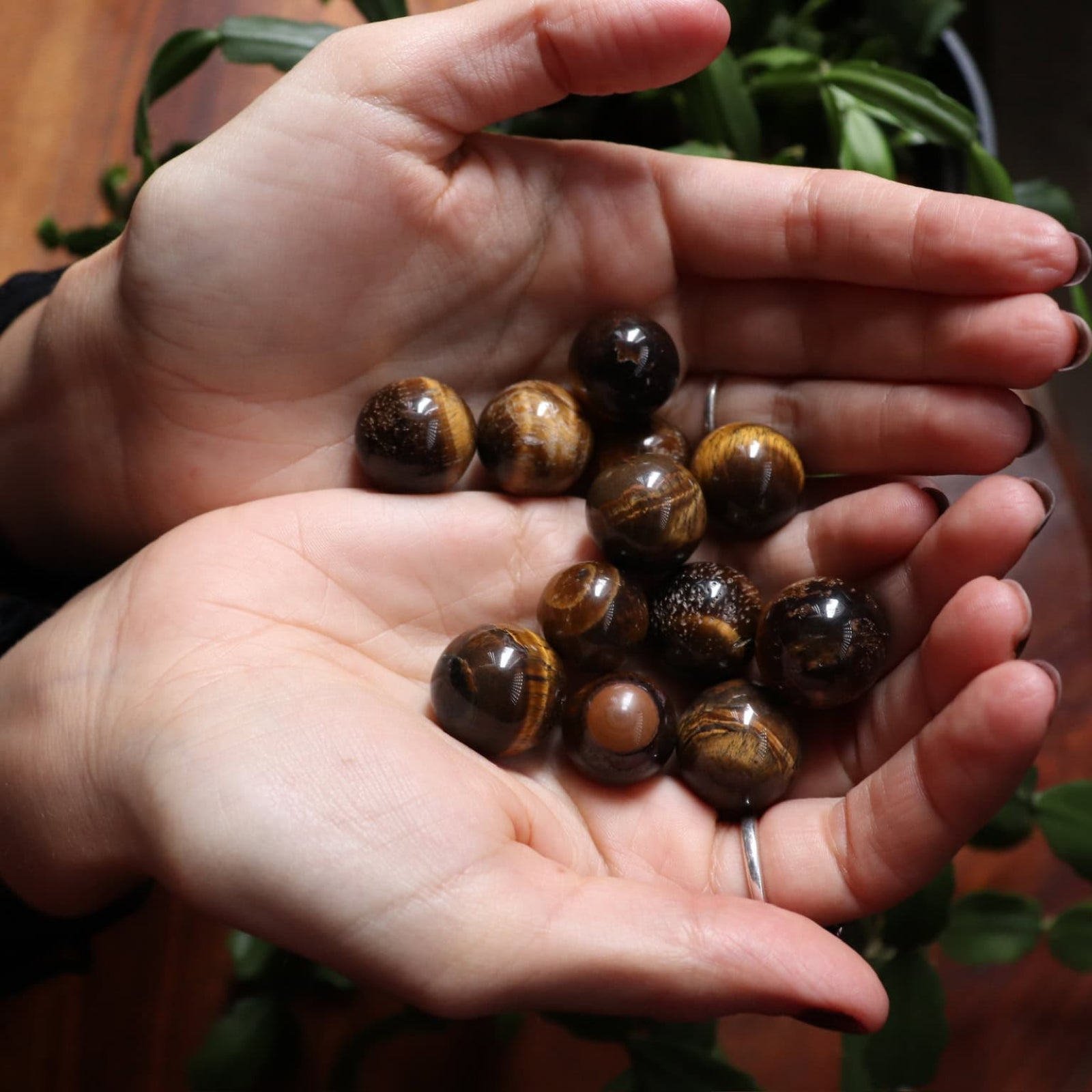Hands holding small tiger eye crystal marbles