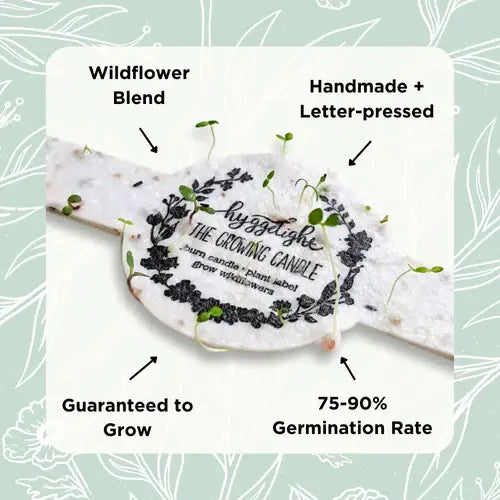 Growing Candle - Ceramic Soy Candle