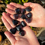 Two hands holding dark stones with a natural outdoor background