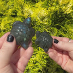video showing Labradorite Turtle Carving in front of bushes