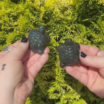 video showing Labradorite Turtle Carving in front of green bush
