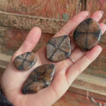 Chiastolite Tumble Crystal Video