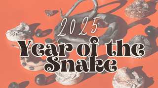 2025 Year of the Snake Blog - The Boho Depot