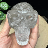 Crystal Alien Skull - Lodolite