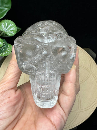 Crystal Alien Skull - Lodolite